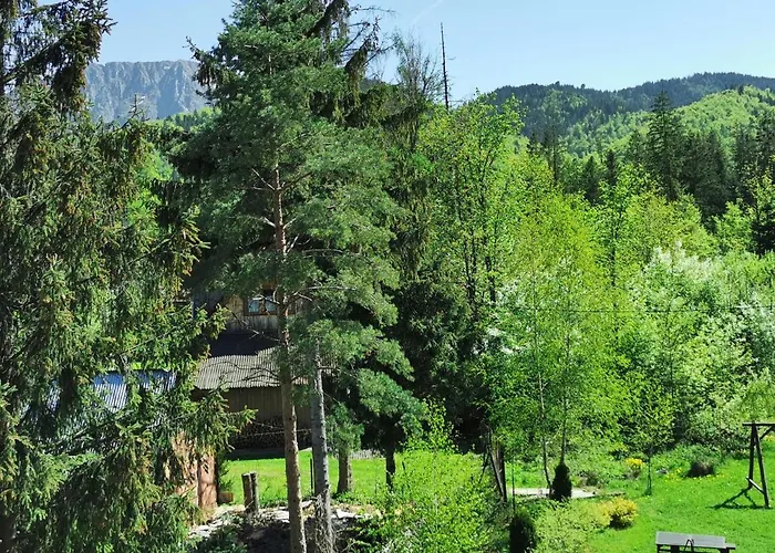 ホームステイ Senator