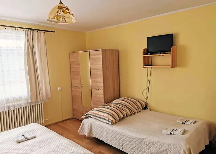 ホームステイ Senator *