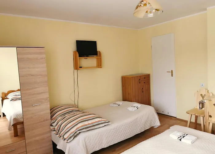 Senator * ザコパネ