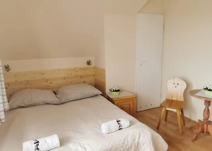 Senator ホームステイ