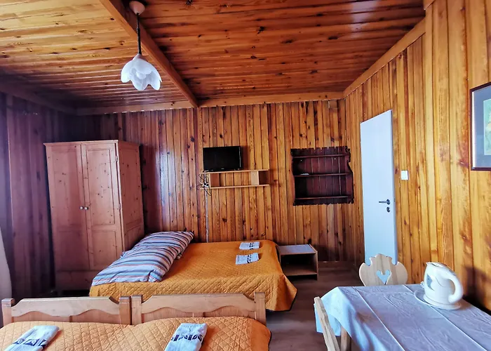 ホームステイ Senator