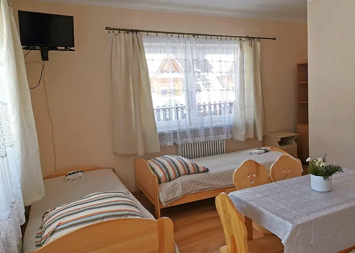 ホームステイ Senator